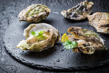 oysters